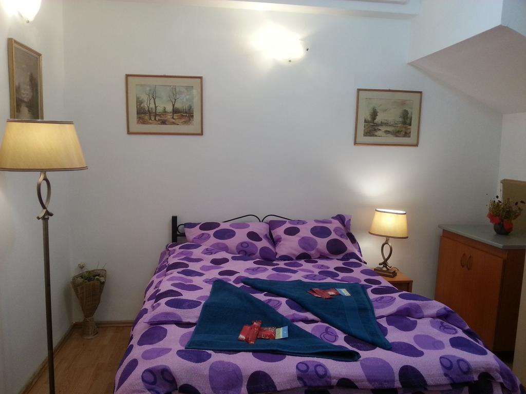Center Park Apartment คลูจ-นาโปกา ห้อง รูปภาพ